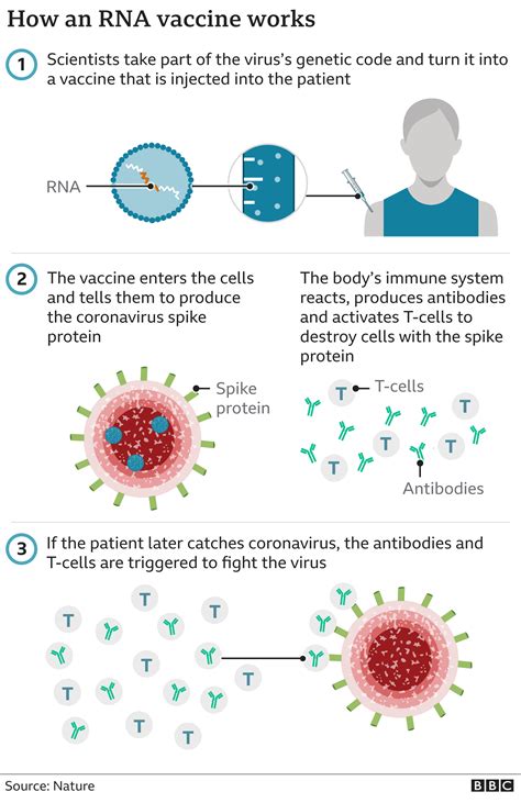 We did not find results for: Covid: Who will have the Pfizer vaccine first and when can ...