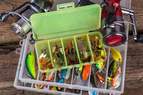 The baits included in this article are effective in catching fishes as they resemble the look of live baits. Fishing bait and tackle are a few necessities to bring ...