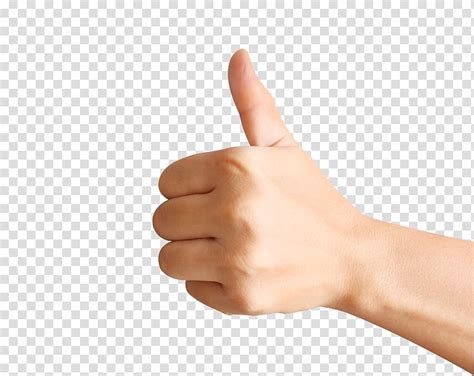 Thumbs Up Png Transparent Thumb Up Gesture Thumb Clipart Aiming The