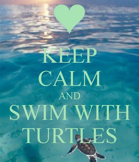 Keep Calm And Swim With Turtles Calm Keep Calm Turtle