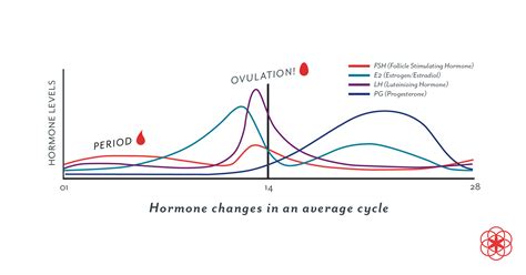 lower progesterone levels in early pregnancy progesterone deficiency 3 reasons why your