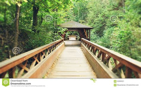 Wooden Bridge Landscape Stock Image Image Of Water River 60999321