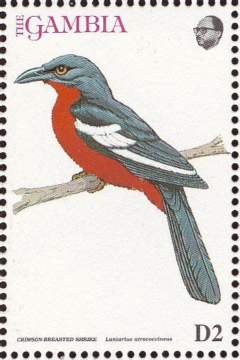 Crimson Breasted Shrike Stamps Mainly Images Gallery Format Stamp