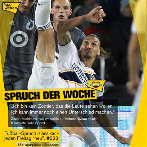 Ibrahimovic had to come off—with the final key. #FSKdW #323: Ich bin kein Zootier, (...). Zlatan # ...