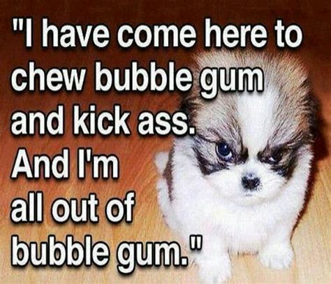 Would you like us to send you a free inspiring quote delivered to your inbox daily? I'm all out of bubble gum... | Puppy meme, Movie quotes, Angry puppy