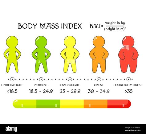 Bmi Concept Body Shapes From Underweight To Extremely Obese Weight Loss Silhouettes With
