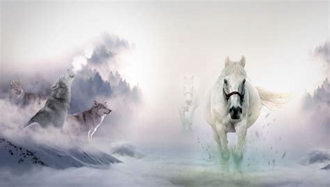 Horses And Wolves Wallpapers Top Free Horses And Wolves Backgrounds