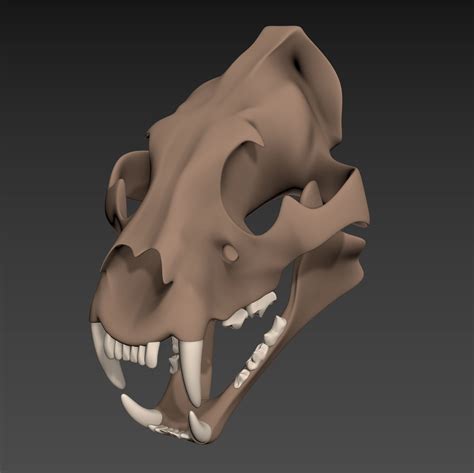 3d Model Tiger Skull Cgtrader