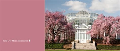 Beautiful View Of Cherry Blossoms And Nybg You Have To Love Spring In