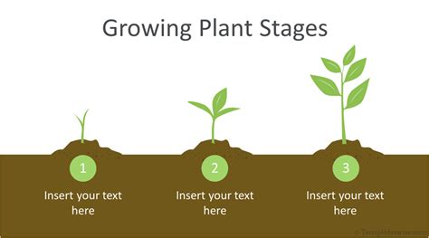 Free Plant Growing Tips Powerpoint Template Infographic Powerpoint