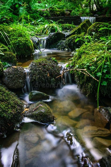 Forest Stream Running Over Mossy Rocks Stock Image Image Of Color