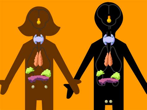 Maybe you would like to learn more about one of these? The Endocrine System - brittspsych