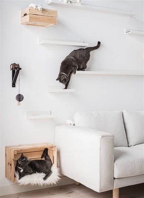 Here's a quick, easy project for all you feline fanatics out there. How to Create an Indoor Cat Climbing Wall | STYLETAILS