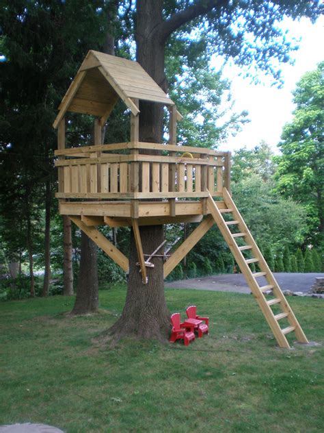 Start the entire build process by selecting the strongest tree with sturdy branches and parallel. simple tree houses - Google Search | Tree house kids ...