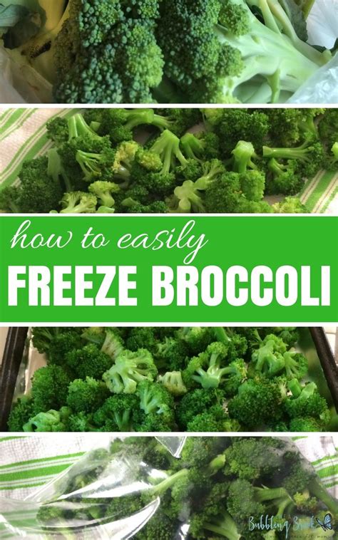 Take out and towel dry. How to Freeze Broccoli | Frozen broccoli, Frozen veggies ...