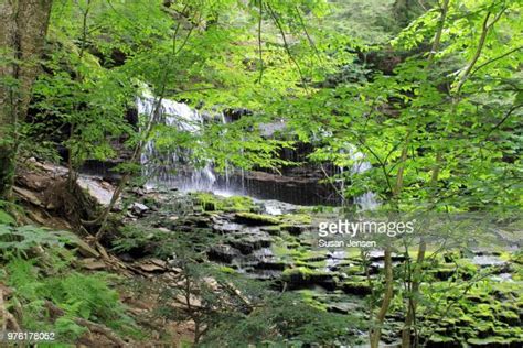 Ricketts Glen State Park Photos And Premium High Res Pictures Getty