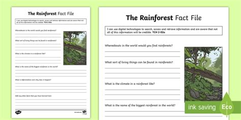 The Rainforest Fact File Cfe Learning Materials Twinkl