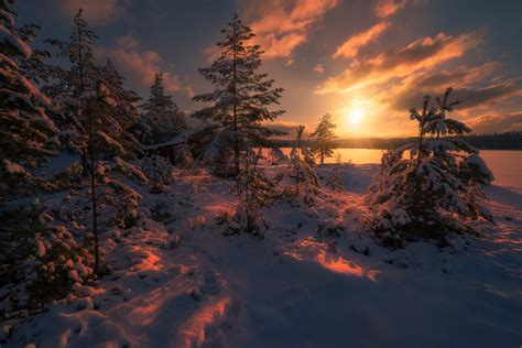 Закат зимой 63 фото