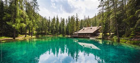 Clean Alpine Lake In The Woods Italian Alps By Stocksy Contributor