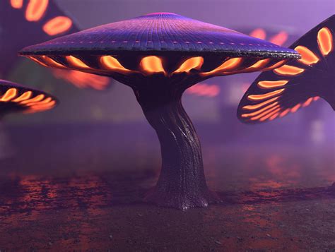 3d Model Fantasy Mushrooms Collection Vr Ar Low Poly Cgtrader