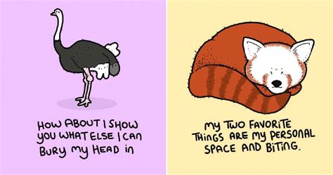 100 Grumpy Animals You Will Probably Relate To
