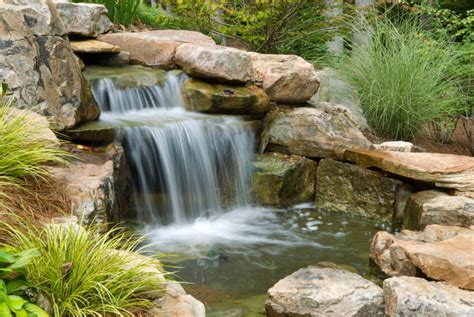 37 Backyard Pond Ideas And Designs Pictures