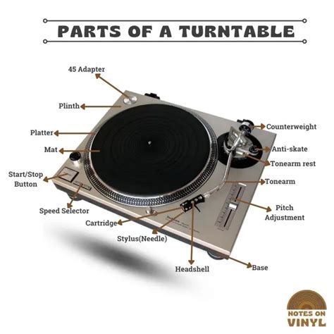 Parts Of A Turntable The Elements You Must Know