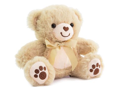 Brown Cuddly Bear Little Bundle Box