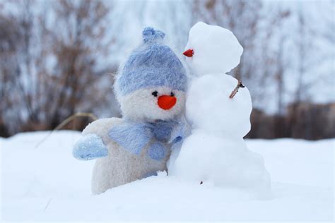 Kostenlose Foto Natur Schnee Winter Weiß Frost Ferien Liebe