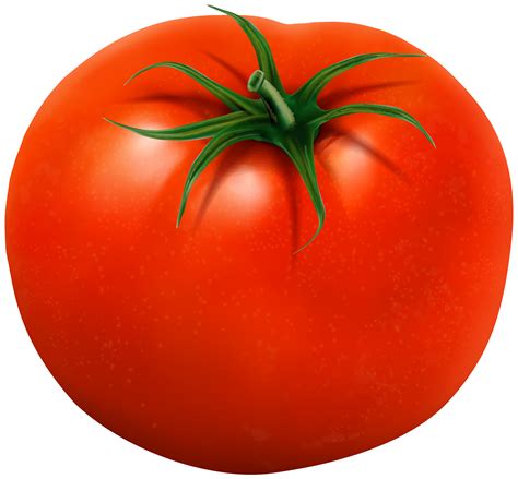 Tomato Transparent Clip Art Image Gallery Yopriceville