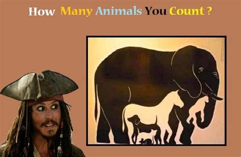 How Many Animals You Count Illusion Puzzles