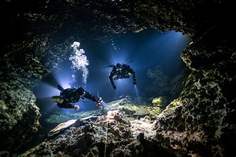 20 Underwater Photos That Illuminate Creatures Dwelling In The Dark