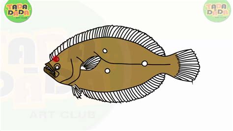 How To Draw And Paint Animal Fish Flounder Step By Step Tada Dada