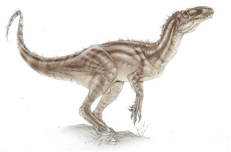 Dryptosaurus Devon Dink Dino Wiki Fandom Powered By Wikia