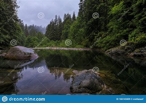 Pine Trees Reflecting In The Crystal Clear Water Of A Lake On A Cloudy