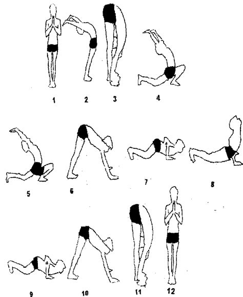 You may find several variations of surya namaskar as there are different styles of yoga practiced around the world. Postures of Surya Namaskar. | Download Scientific Diagram