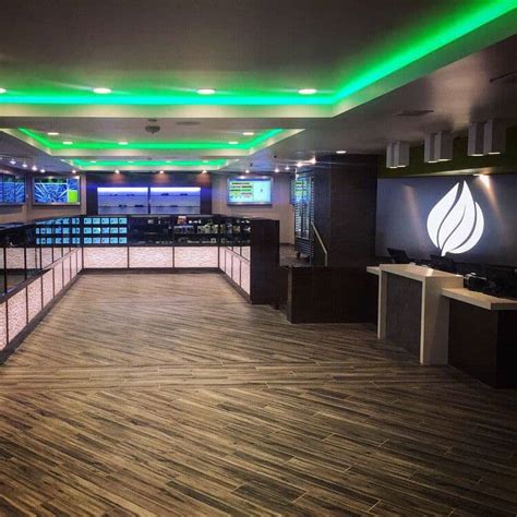 How Profitable is the Average Cannabis Dispensary? [2020] | American
