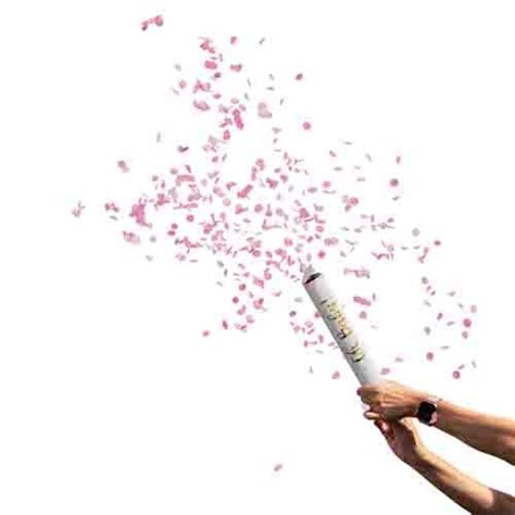 Pink Gender Reveal Confetti Cannons 2ct Party Adventure