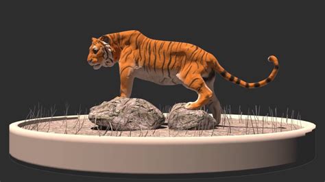 artstation 3d tiger model