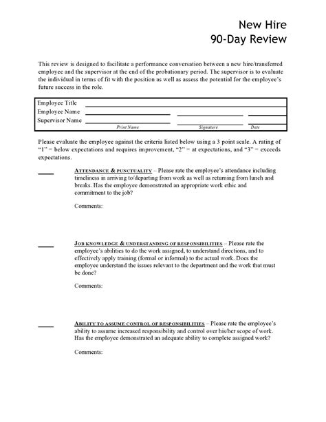 90 Day Review Templates (& Printable Examples) ᐅ TemplateLab