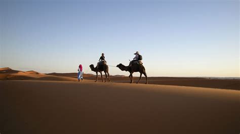 The Essential Guide To Camping In The Sahara