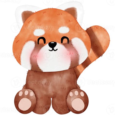 Free Cute Red Panda Illustration 17190566 Png With Transparent Background