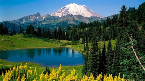 Mountains Landscapes Nature Forests National Park Mount Rainier