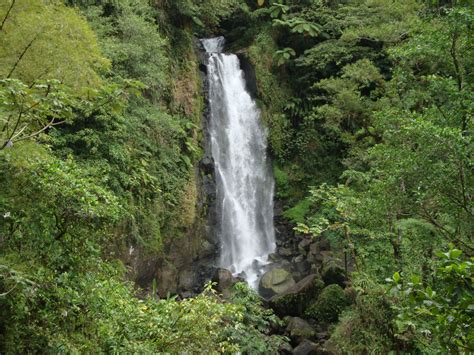 waterfall in dominica beautiful waterfalls waterfall caribbean islands