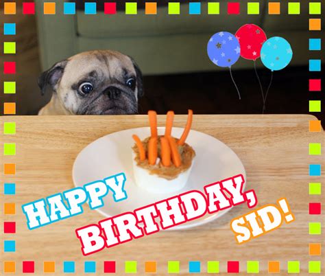 Pug Slope Blog Archive Happy Birthday Little Buddy