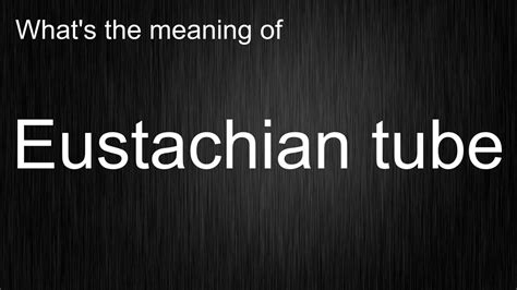 Whats The Meaning Of Eustachian Tube How To Pronounce Eustachian