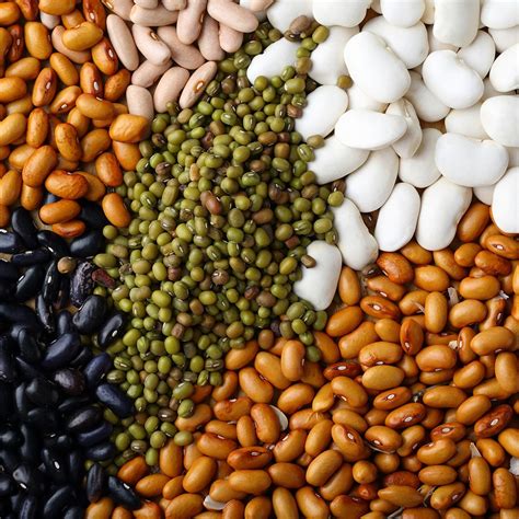 National Eat Beans Day 2019 Qualads