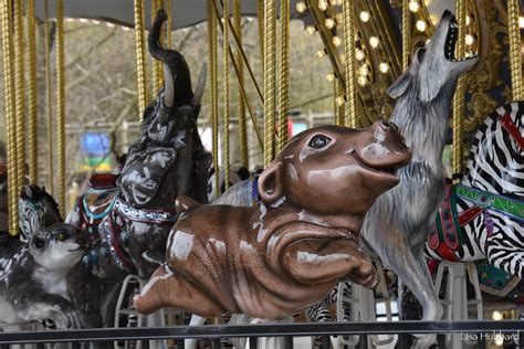 Win A Chance To Put Your Name On The Cincinnati Zoos New Carousel