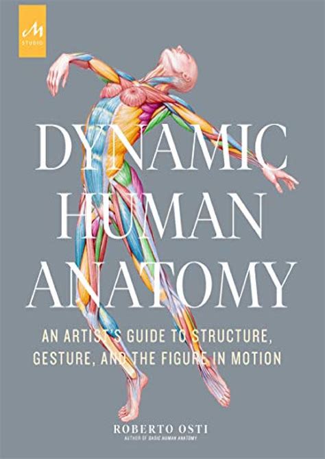 Dynamic Human Anatomy An Artists Guide To Structure Gesture And The