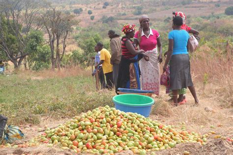 It is a country that is nevertheless rich in natural resources, including precious gems, metals, and petroleum; Angola deve investir na agricultura USD 638 milhões por ...